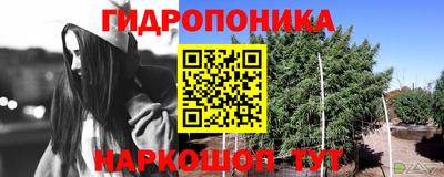 мяу мяу мука Апшеронск